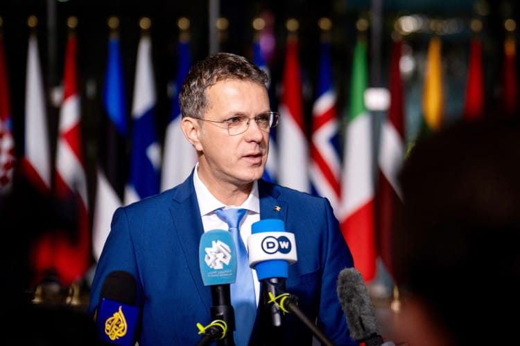 Romania’s defence minister steps down over false CV claims