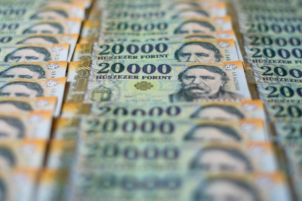 The Great Tax Overhaul of Hungary