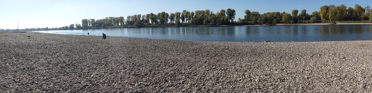Europe's drought worst in 500 years - EC report
