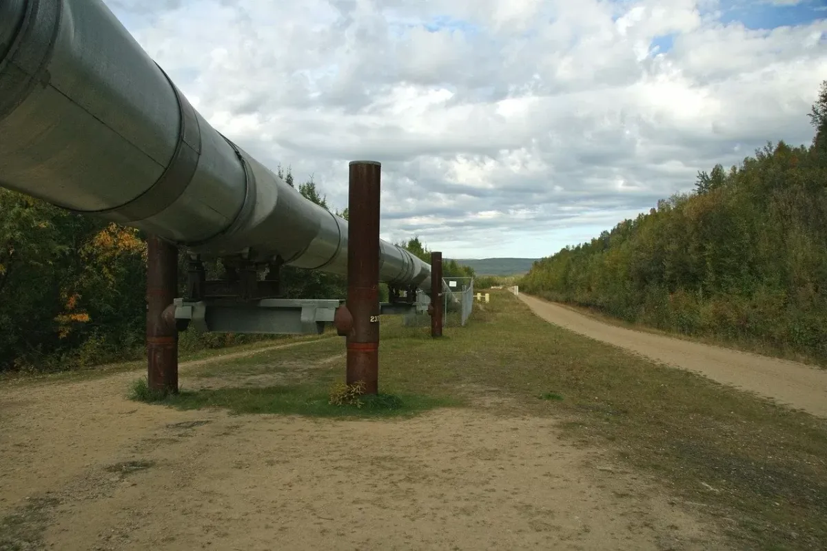 Hungary could decouple from Russian gas - report