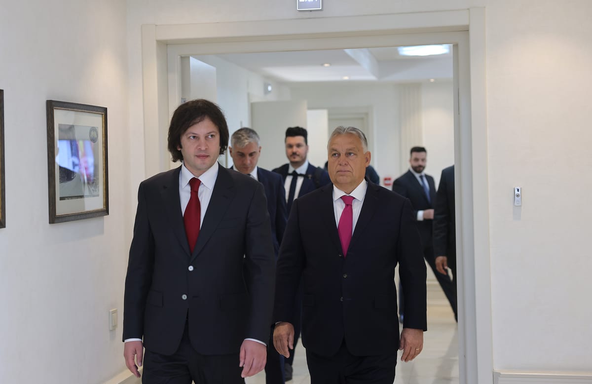 CEE countries take sides in aftermath of Georgia's disputed election