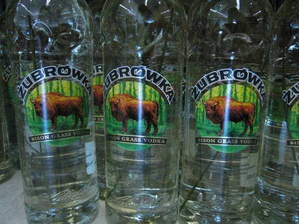 CEE distillers pivot to domestic sales as exports fall, tastes shift