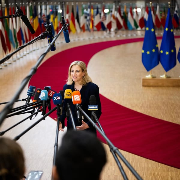 Austria should consider NATO membership - Meinl‑Reisinger