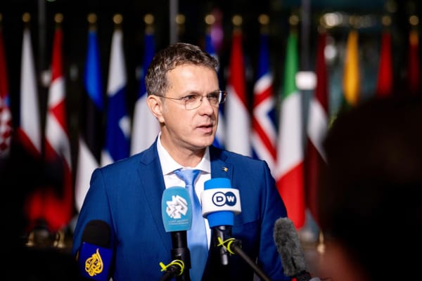 Romania’s defence minister steps down over false CV claims