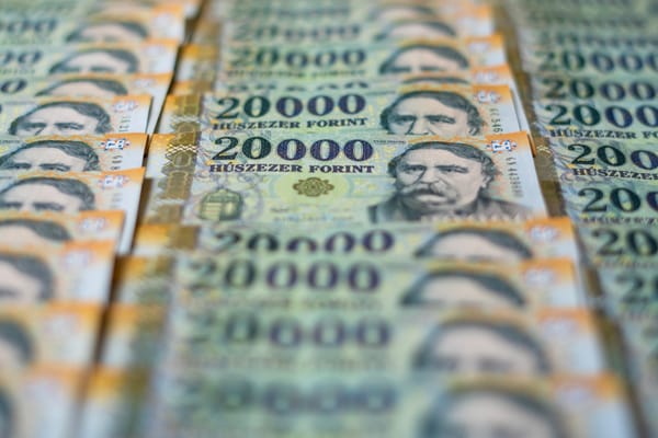 The Great Tax Overhaul of Hungary
