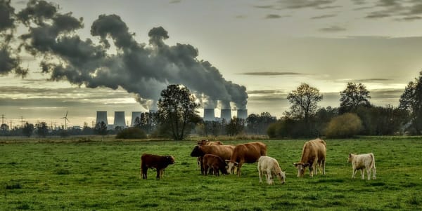 EU states see green goals, Russian energy cuts as win-win