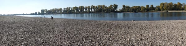 Europe's drought worst in 500 years - EC report