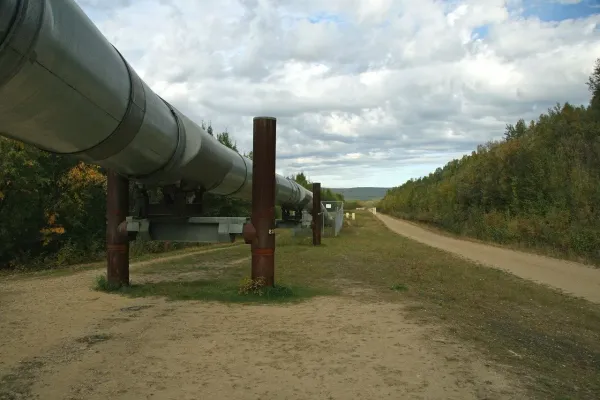 Hungary could decouple from Russian gas - report