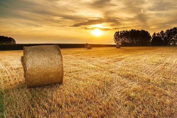 Romanian farmers hold nationwide protest