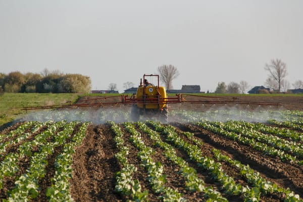 EU loosens CAP scheme to placate farmers